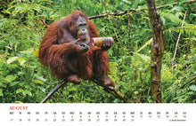 Waldmenschenkalender 2026