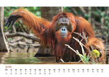 Waldmenschenkalender 2027