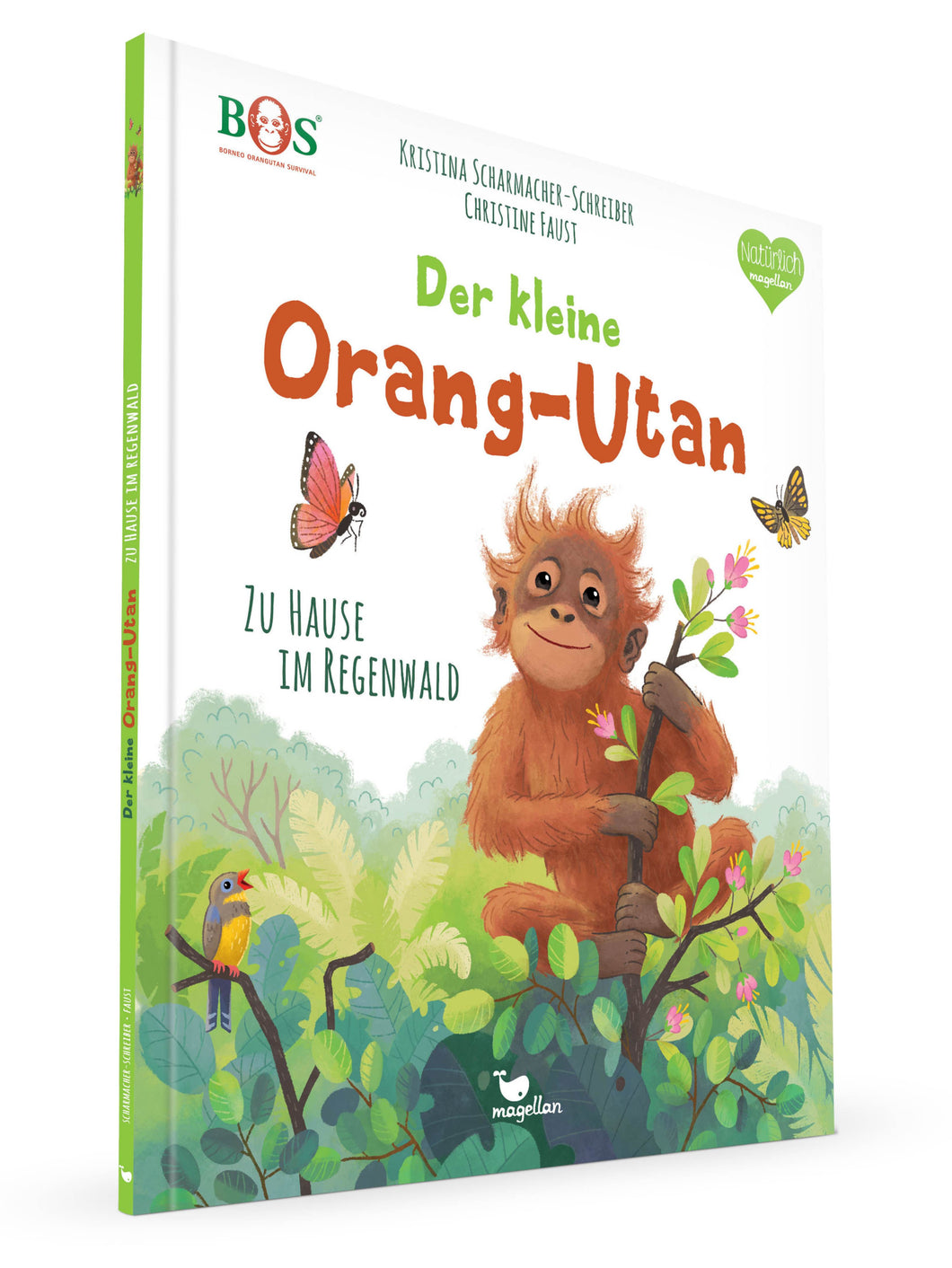 Der kleine Orang-Utan - Zu Hause im Regenwald