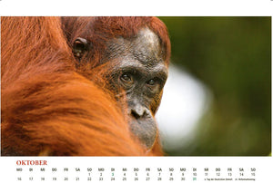 Waldmenschenkalender 2023