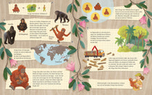 Der kleine Orang-Utan - Zu Hause im Regenwald